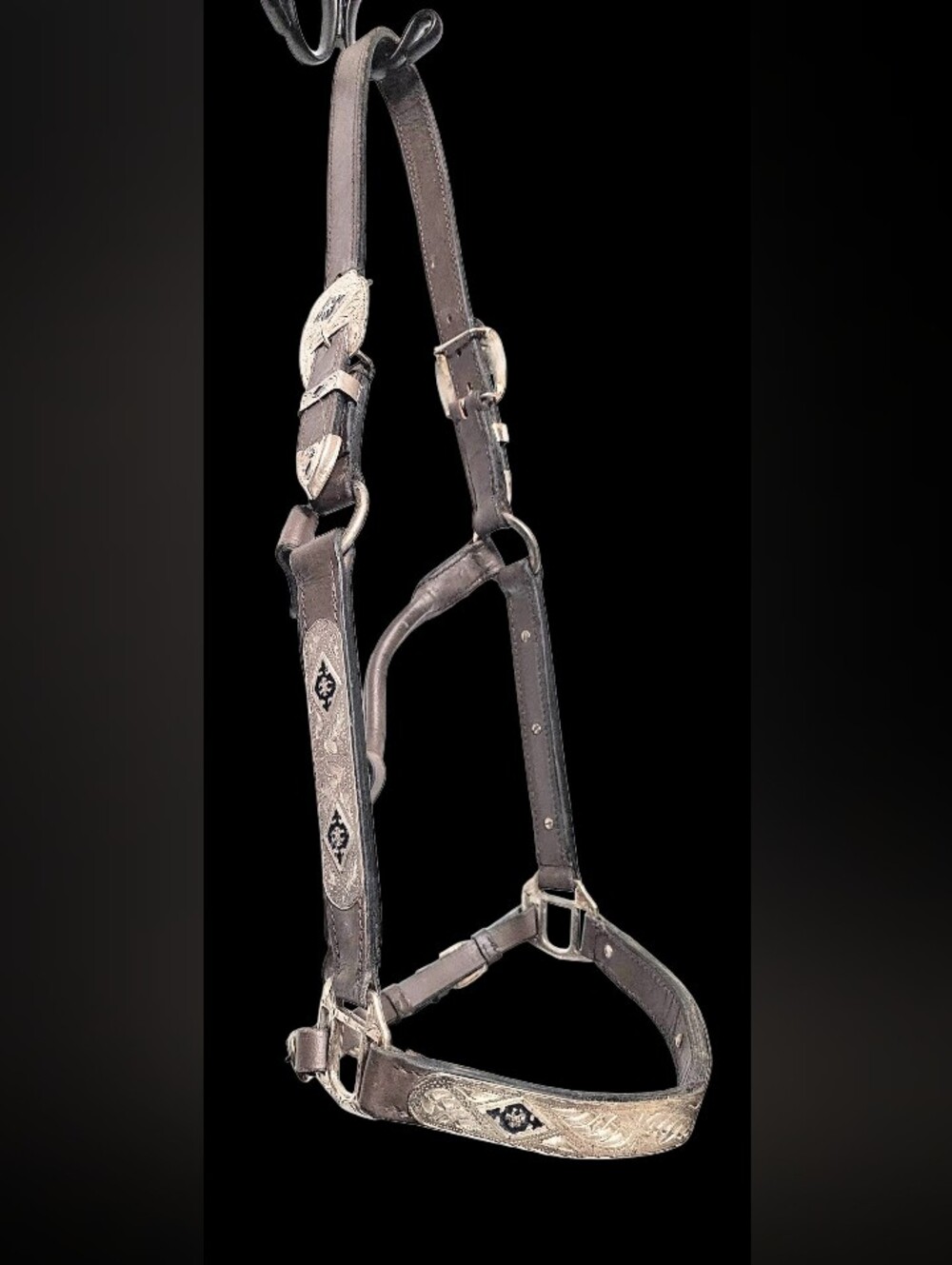 Dark Brown Western Leather Horse Show Halter With Silver Bands & Buckles